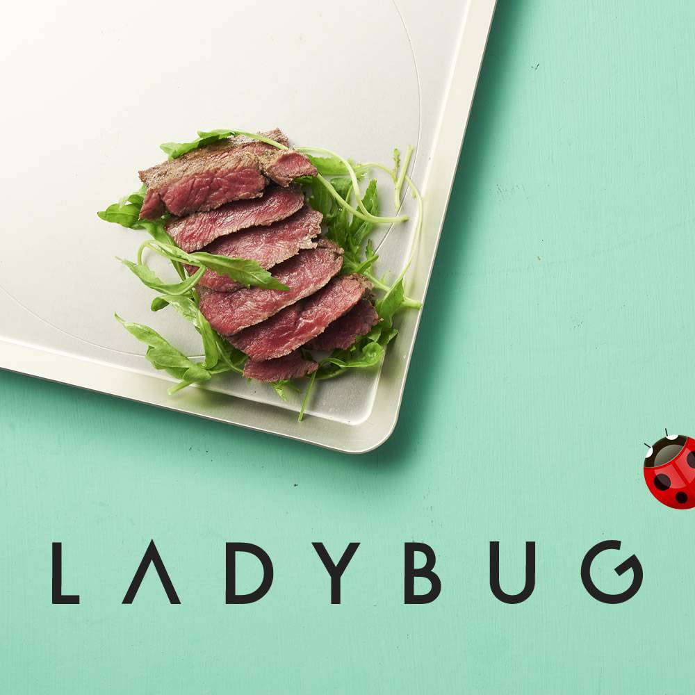 ladybug